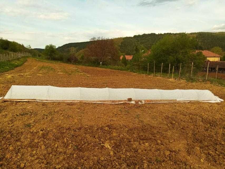 Продава се Земеделски имот в с. Згурово, Област Кюстендил -  кв.м за 3825 €/дка - Снимка #3