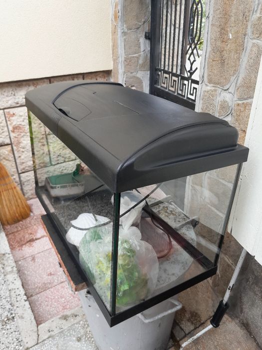 Аквариум Ferplast Capri 60 литра