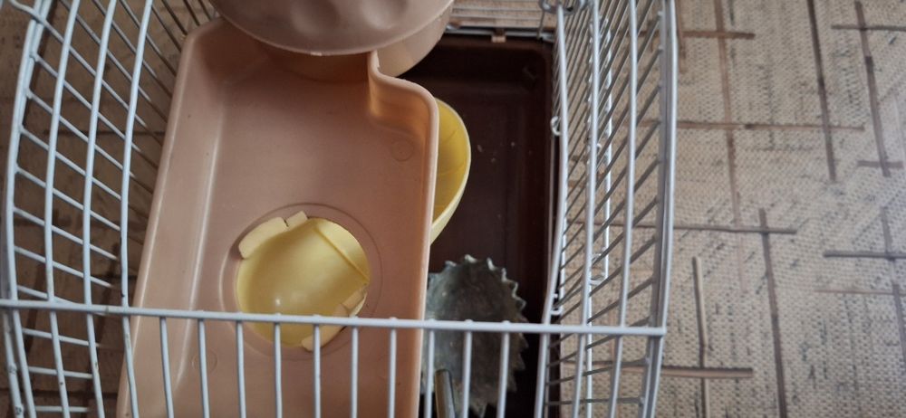 Продам клетку для хомяков