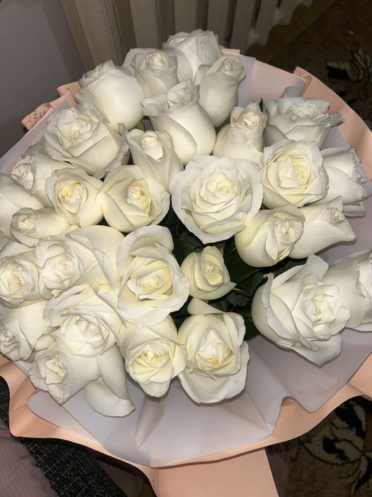 Цветы белый роза