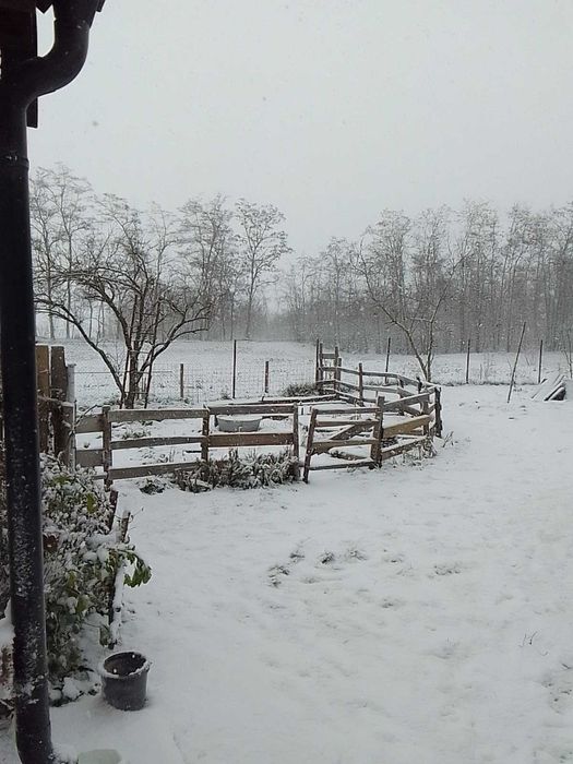 Casa la tara judet Botosani