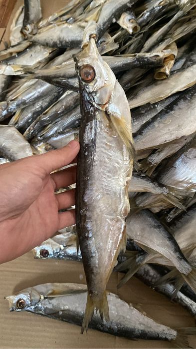 чехня рыба сушенное