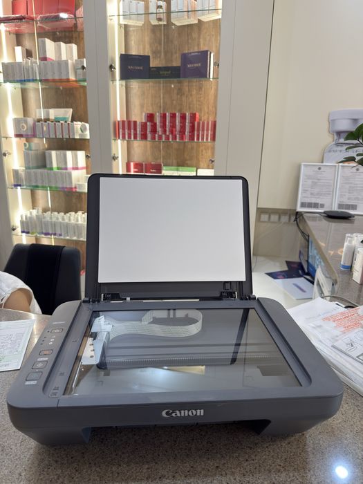 Принтер Canon pixma MG2541S