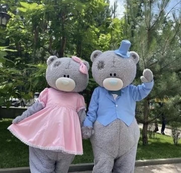 Teddy аниматор прокат 2шт