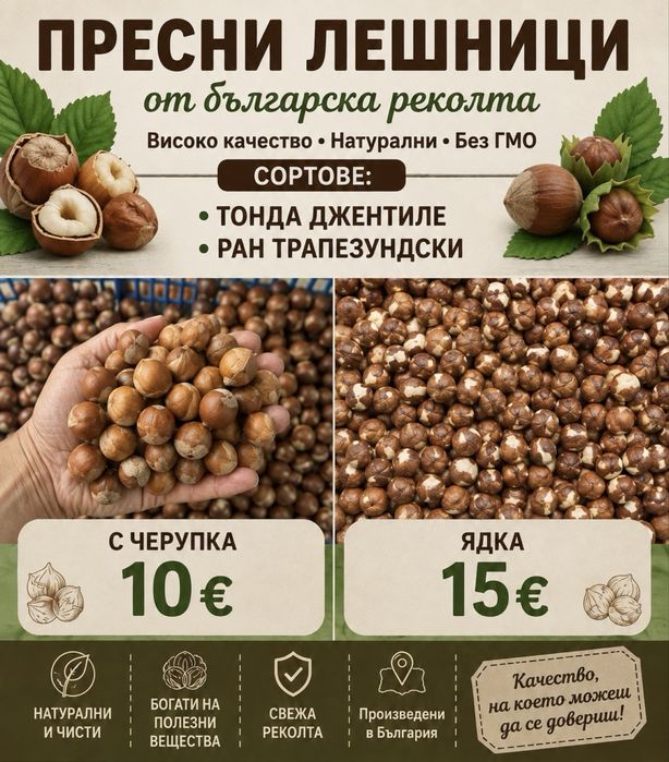 Лешник яка и с черупка