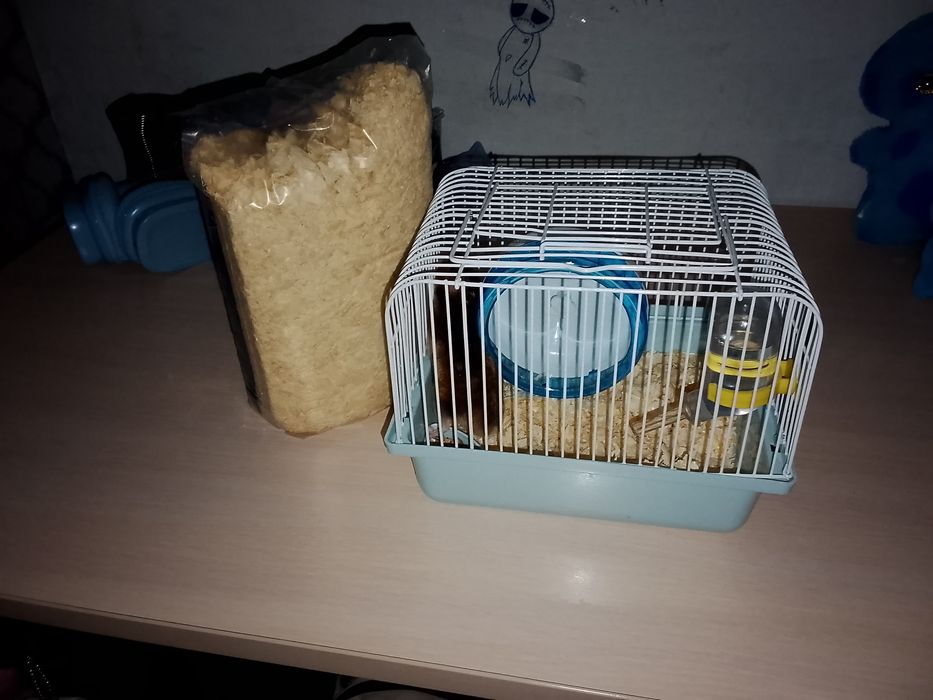 Продам джунгарского хомяка