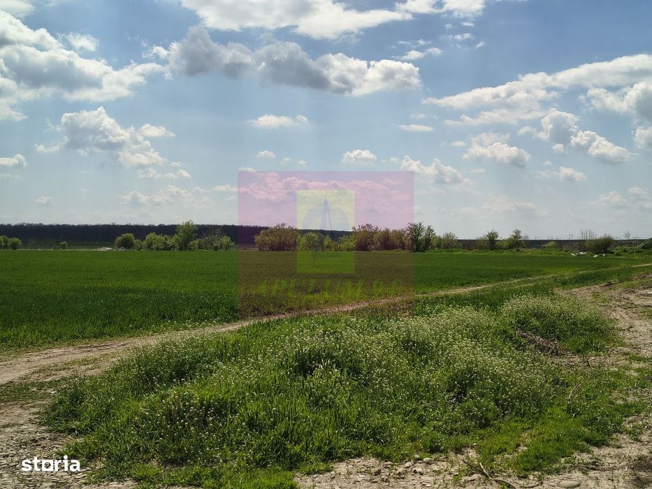 Poșta -Teren 12.450mp pretabil hală/rezidențial la 150ml de utilități