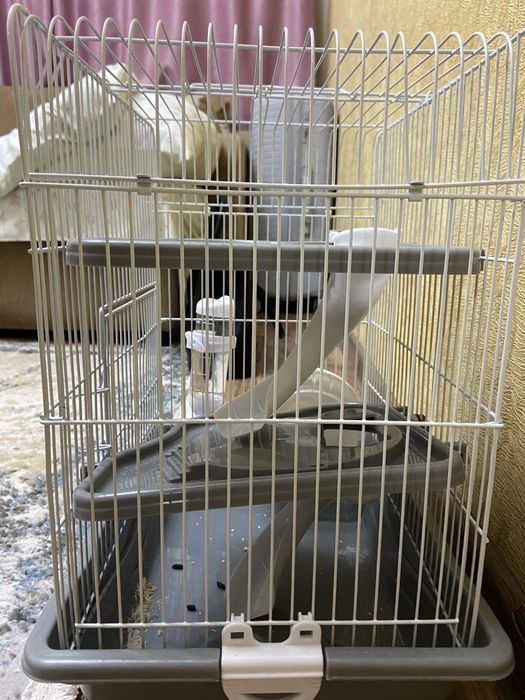 Клетка для хомяка!