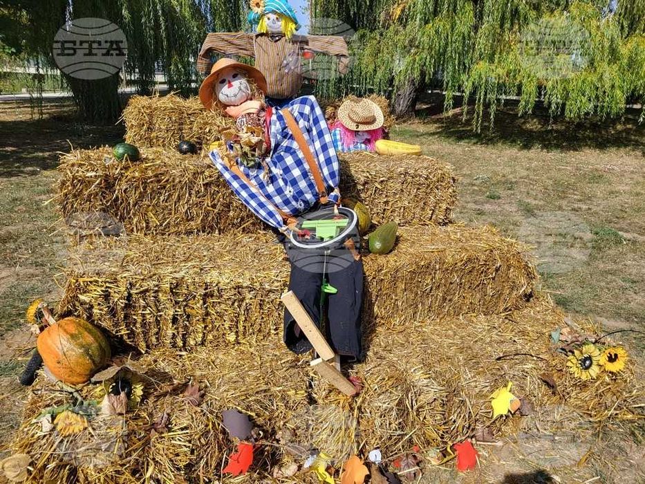 Бали слама за празници декорации, фотосесии