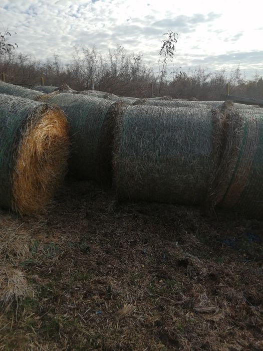 Продават се Бали