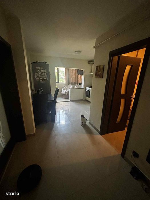 Apartament cu 1 camera  - Alexandru cel Bun - Zimbru  - Pet Friendly