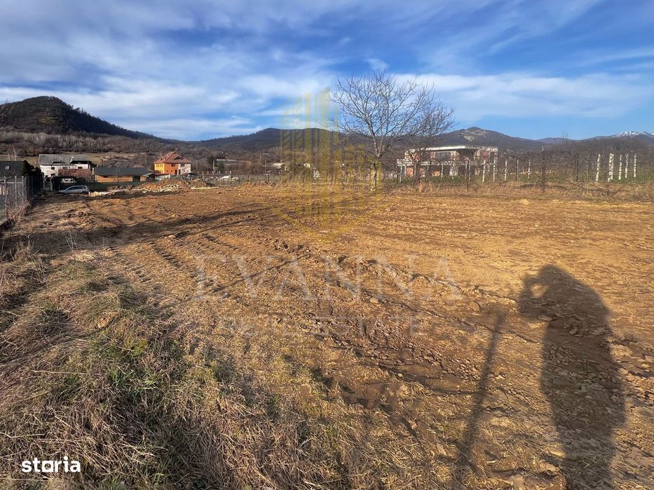 De vanzare 9 ari | intravilan | Tăuții de Sus , Baia Sprie.