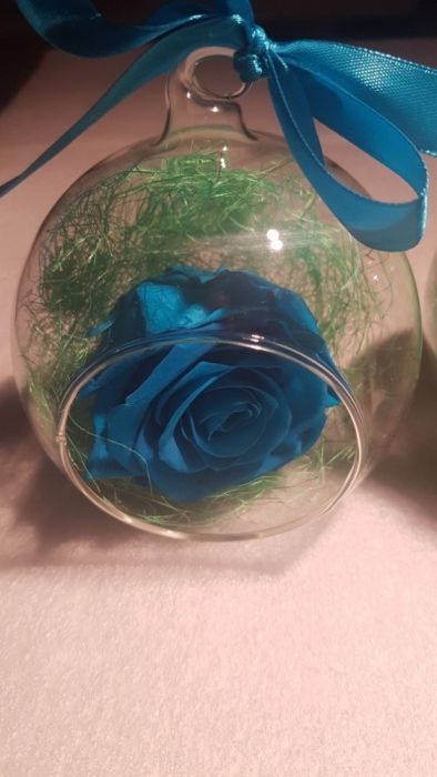 Trandafiri criogenati Cadou de Constantin si Elena