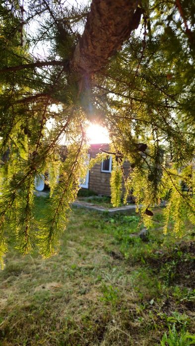 Продаём дачу в живописном месте