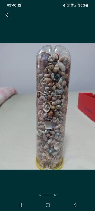 Cosuri pentru cadou,cos scoici si melci