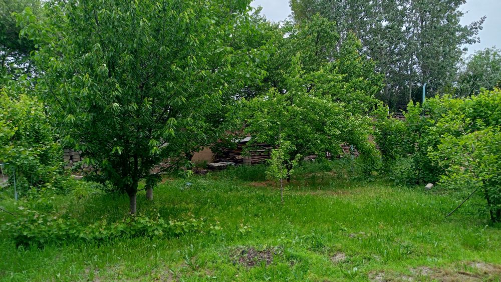 Tabiat bag‘ridagi tinch va shinam uy sotiladi