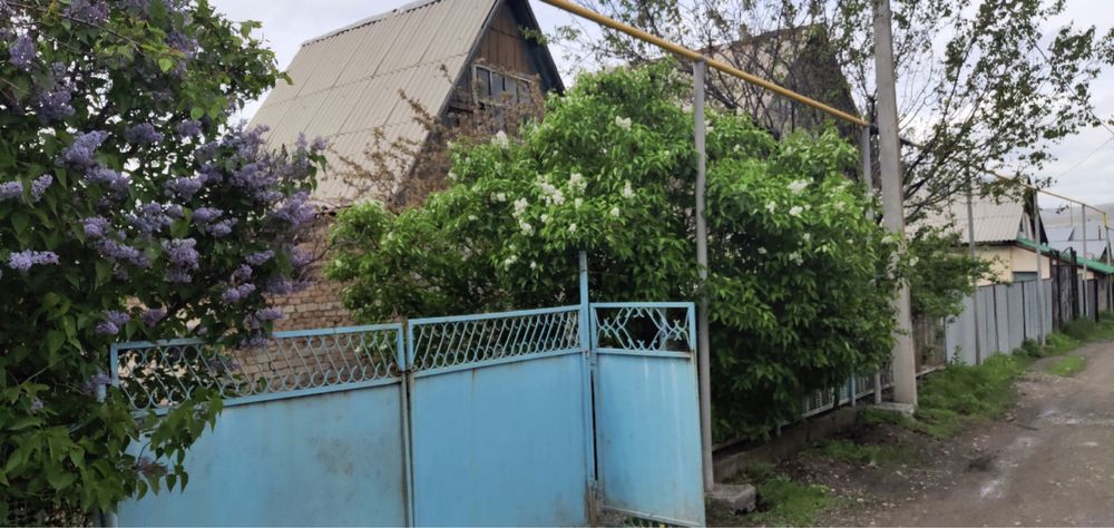 Продам дачу на шайкоргане