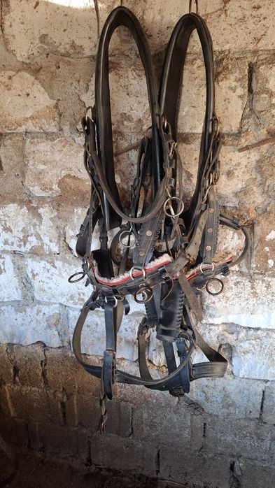 Vand o pereche de hamuri pentru ponei