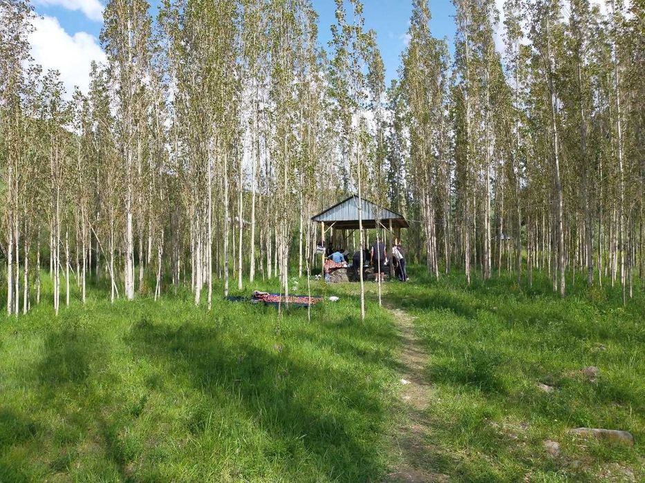 Jizzax Baxmal dam olish maskani sotiladi