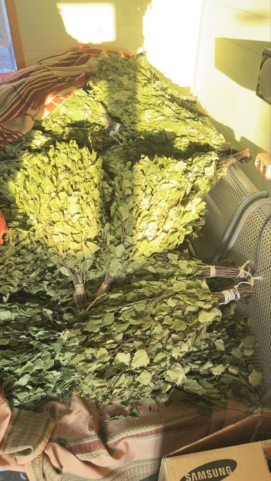 Веники берёзовые