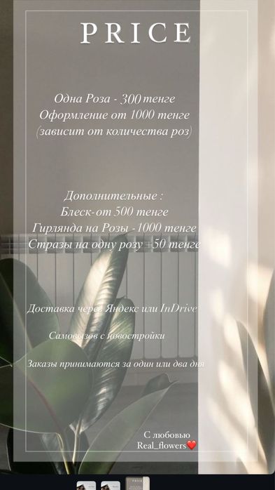 Розы атласные.