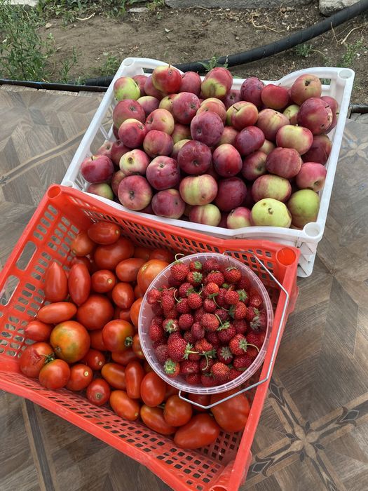 Срочно продам дачу на центральном улице