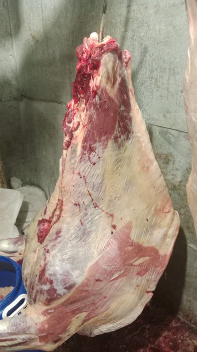 Продам мясо от 150000тг