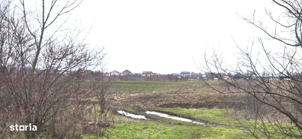 Teren intravilan Tartasesti, str.Magura, 2.000mp - 0%comision