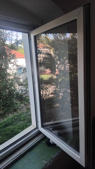 Vand geamurii termopane!