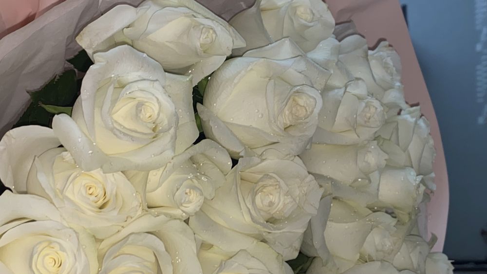 Цветы белые розы