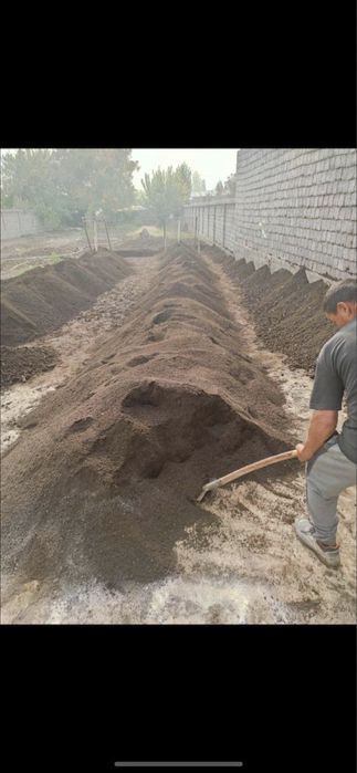 Biogumus Биогумус Gazon urug’lariyam bor.
