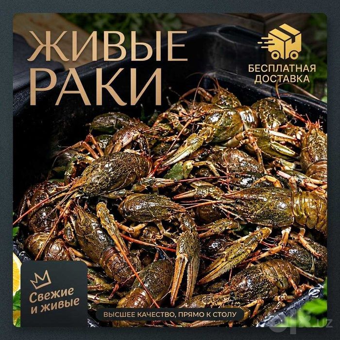 Живые раки,доставка раков,tirik qisqichbaqala