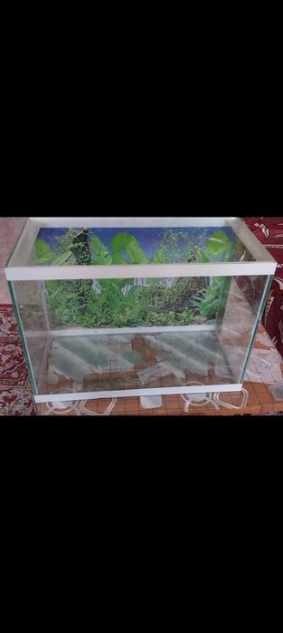 ПРОДАМ аквариумы  3 шт