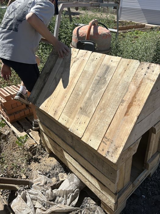 Бутки для собак из дерево