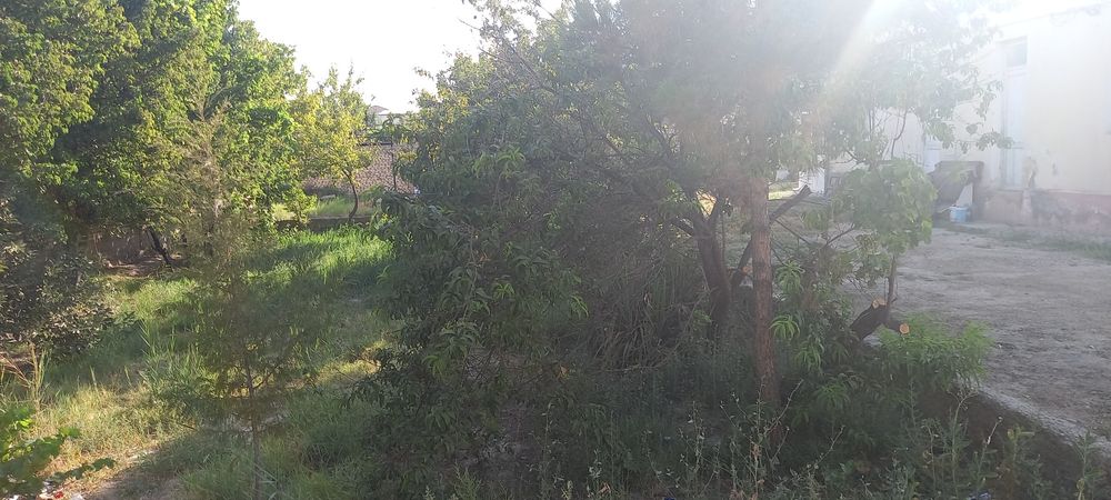 Romitan tumanidan 6 sotixli ikki qavatli Kotedj sotiladi.