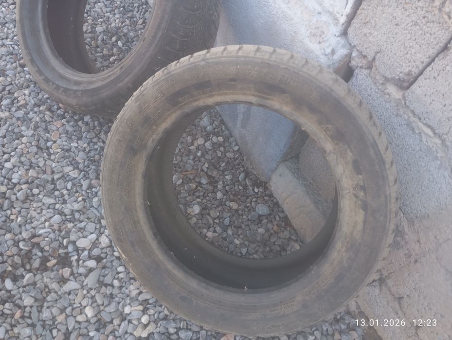 Шины шипованые трианжел