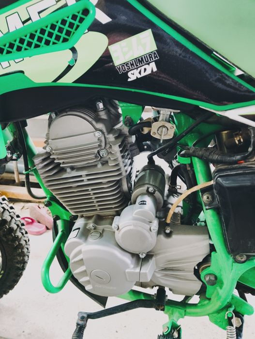 Верный конь не подведёт