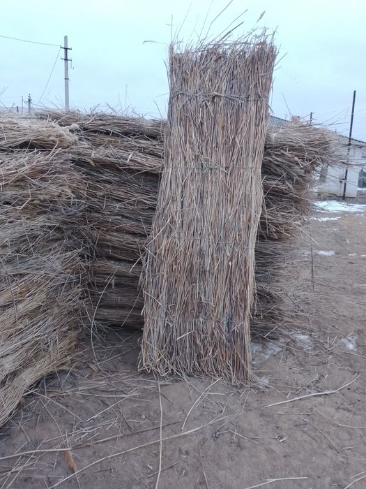 Қамыстан тоқылған  маты