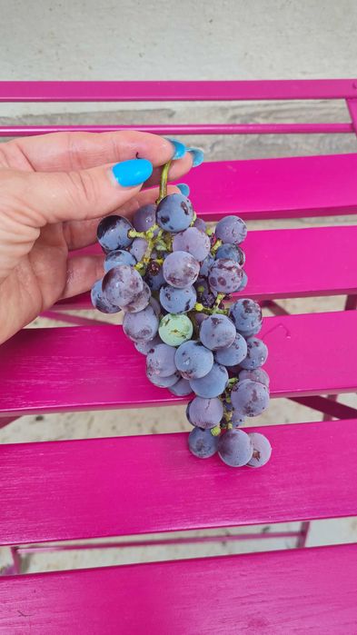 Продава се Къща в София, Център - 70 кв.м за 929 €/кв.м - Снимка #11