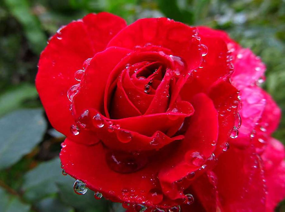 Фотоапарат Canon с обектив 28-336 мм (екв. 35 мм) и стабилизация