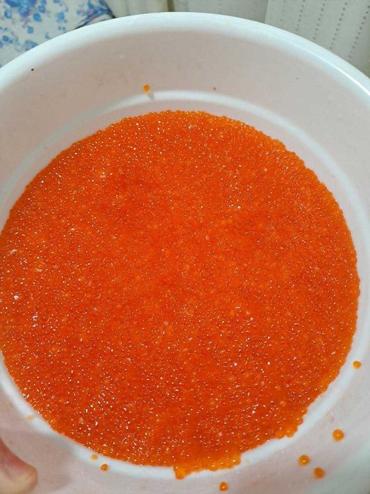 Красная икра радужной форели 70000сум