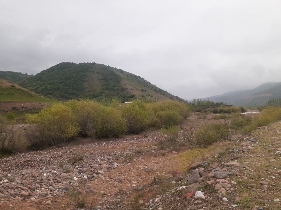 Qoramozorda 4 sotix yer sotiladi