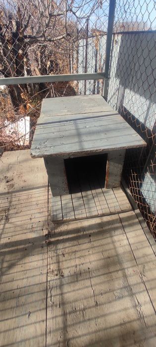 Вольер для собак 3*2 метра