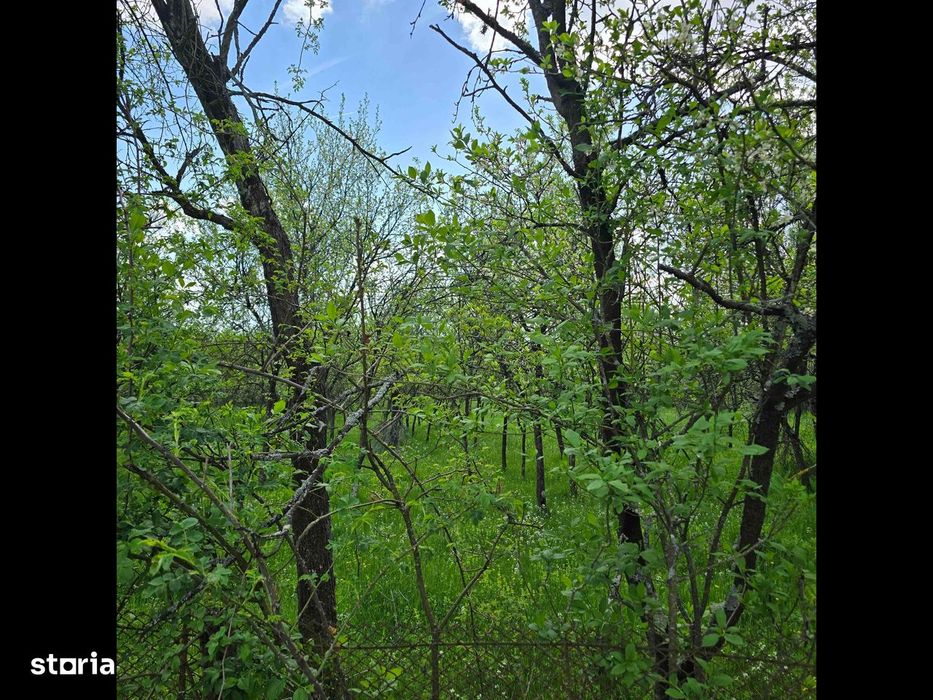 Teren intravilan cu nr.de casă.