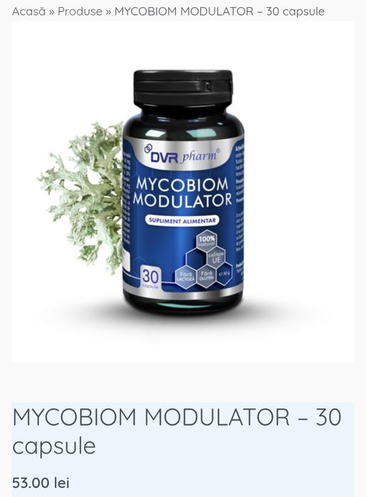 Suplimente - DVR, miere