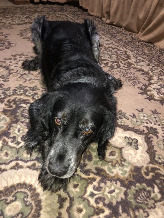 Нужна девочка на вязку