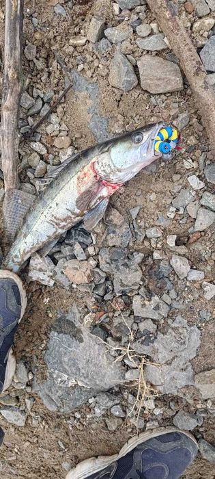 Рыболовные снасти