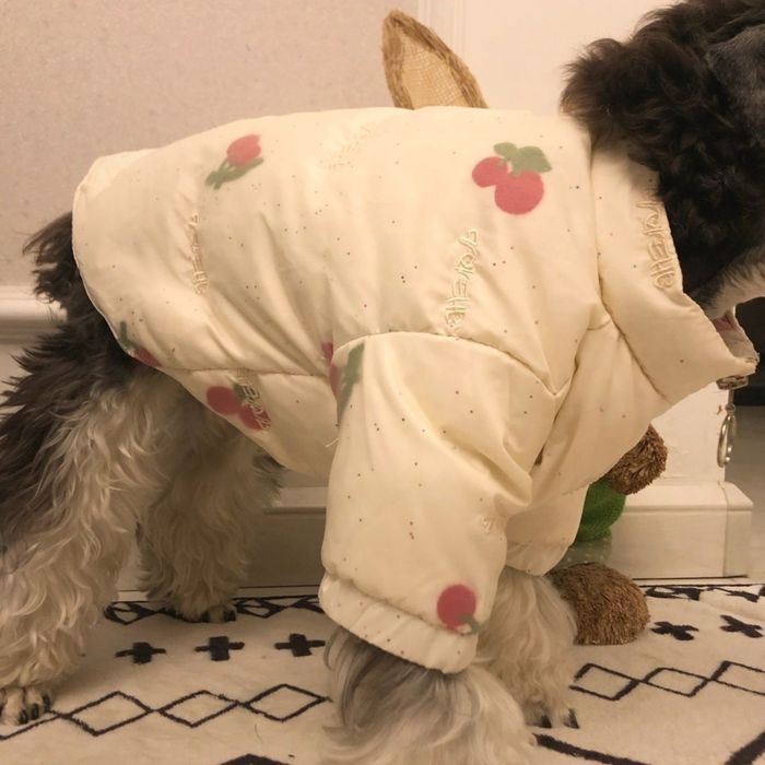 Одежда для собачек