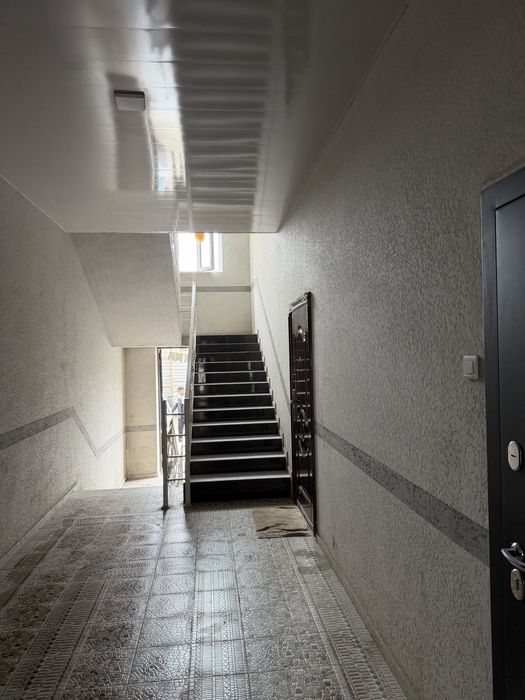 Navastroyka Dom Qora qamish Bitonka