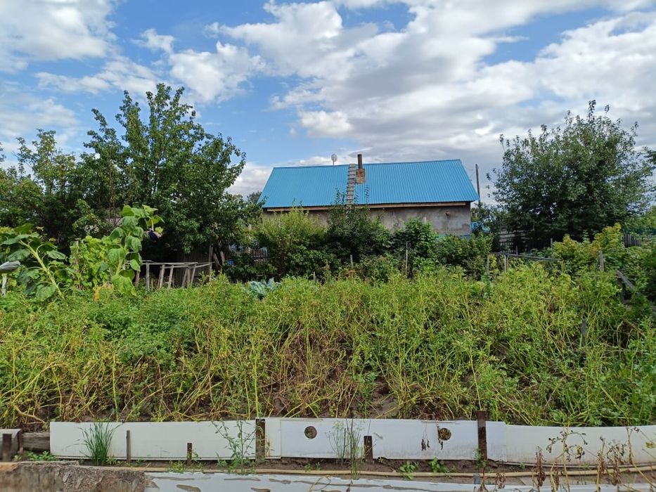 Продаю дача(сад) в городе